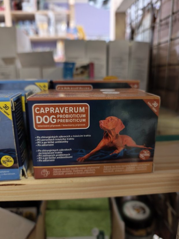 Capraverum Dog probioticum -prebioticum tbl.30 Capraverum Dog probioticum -prebioticum tbl.30