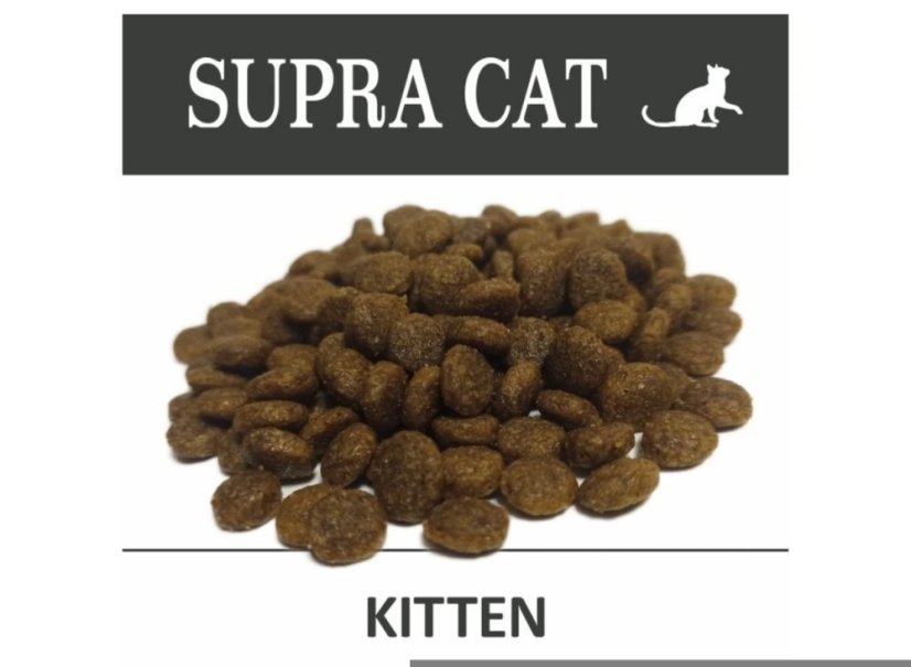 Delikan Supra Cat Kitten