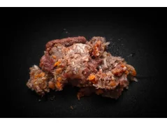Hovězí s droby, mořskými rybami a mrkví 1kg