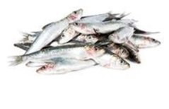 SLEĎ CELÝ NEKUCHANÝ 2kg