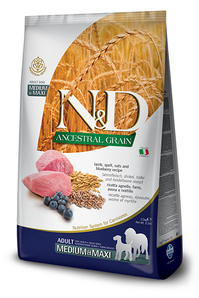 N&D DOG LG Adult M/L Lamb & Blueberry