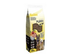 Maximo Puppy  20 Kg