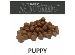 Maximo Puppy  20 Kg