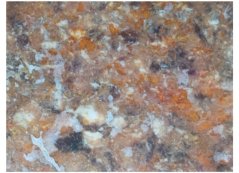 Konina s lososem a dýní (kôň s lososom a tekvicou) 1kg