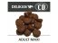 CD Adult Maxi 15Kg