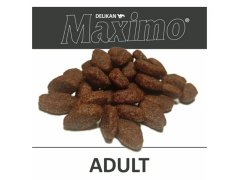 Maximo Adult 20 Kg